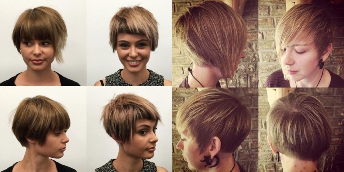 bob-con-frangia