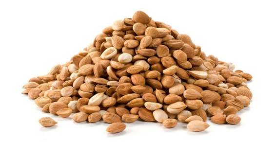 nocciolo di albicocco