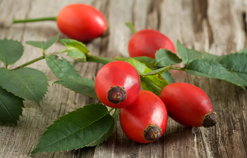 olio di rosa mosqueta