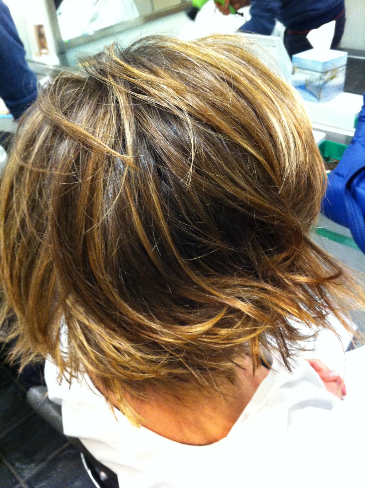 25 visioni laterali o posteriori di bob!