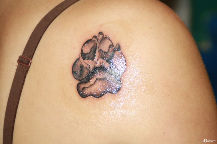 8235a8f0a8ef176705a6edbe261a2c63