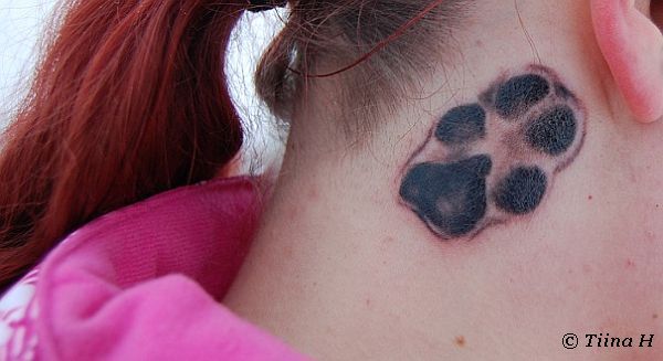 b0db102f21d8c5d12b5c415b3c0e8b4b