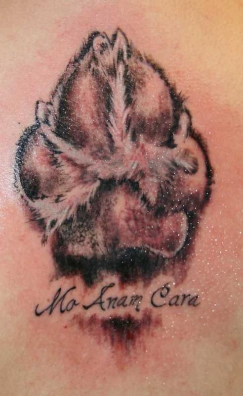 f9678fe60cbb825f16e1c6ba6019f477