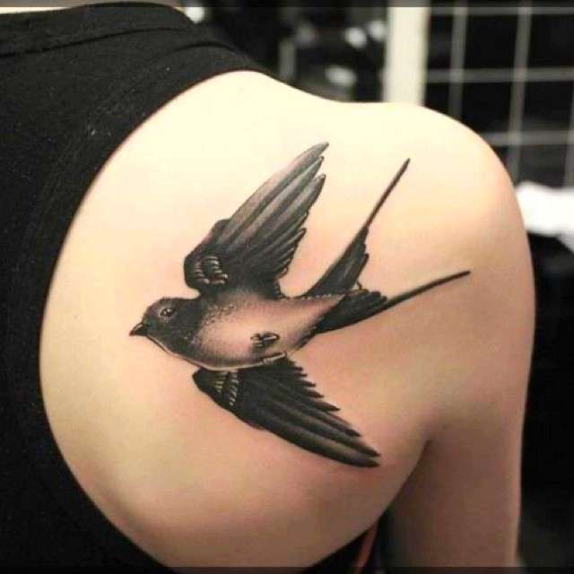 tatuaggio-rondine-sulla-scapola