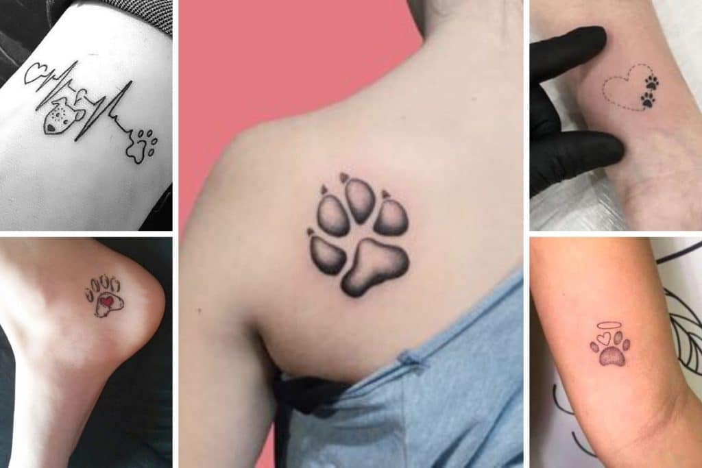 Tatuaggio Zampa Cane Dove Farlo Tatuaggio zampa cane: significato e foto da condividere - CapelliStyle
