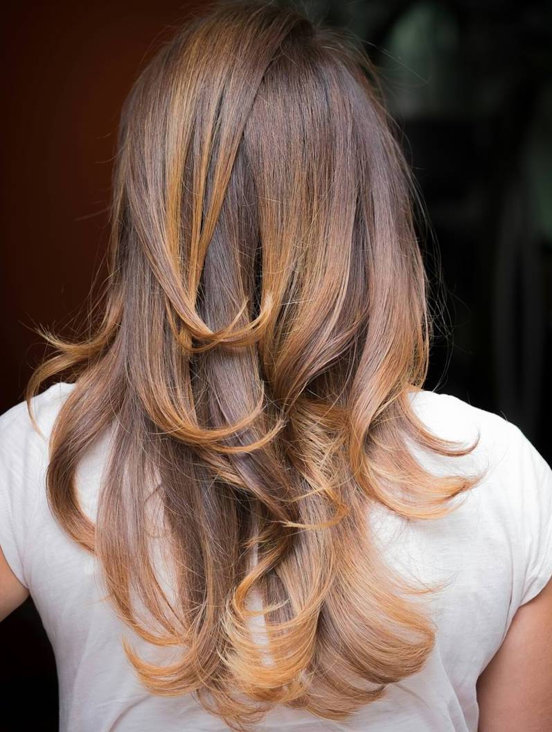 16brownhairwithgoldenblondehighlights CapelliStyle