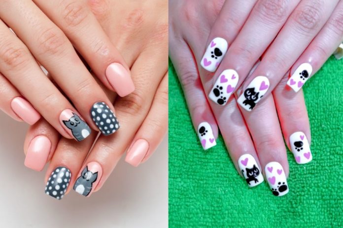 manicure gatti cover manicure gatti cove