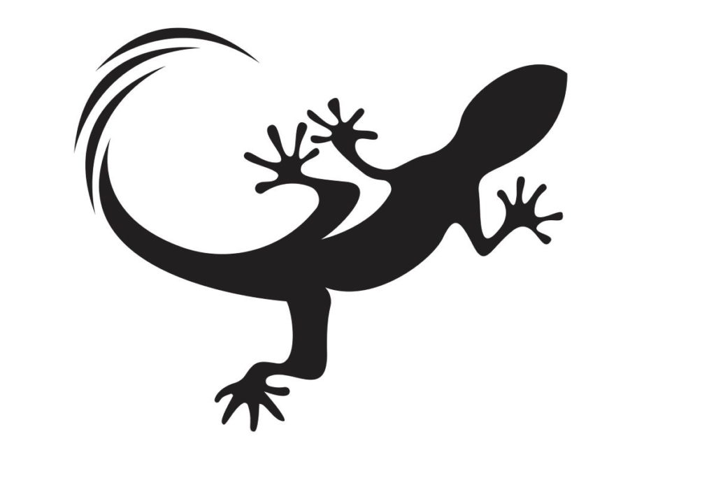 Tatuaggio geco significato e foto da cui trarre ispirazione CapelliStyle Tatuaggio geco significato e foto da cui trarre ispirazione CapelliStyle