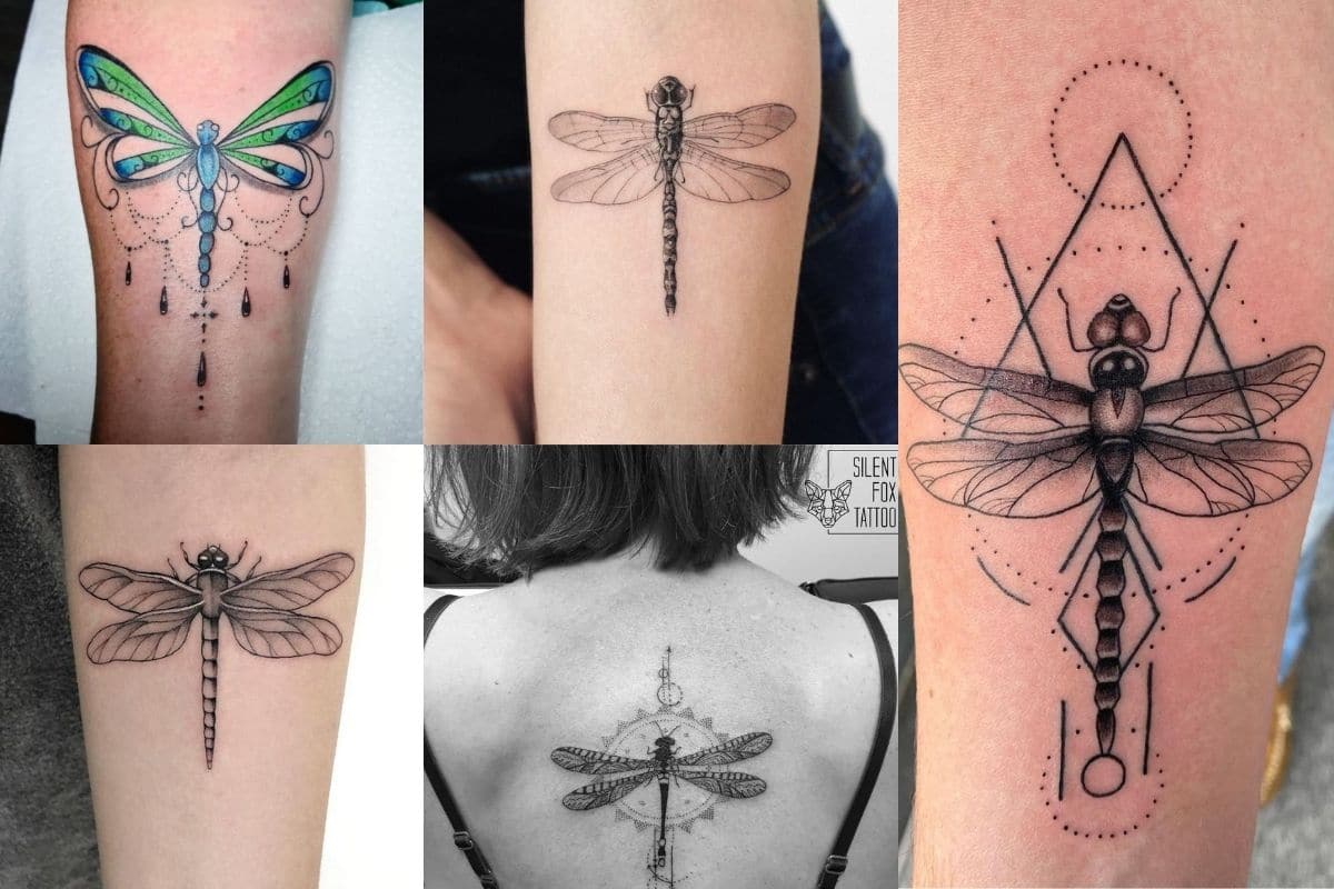 tatuaggio libellula