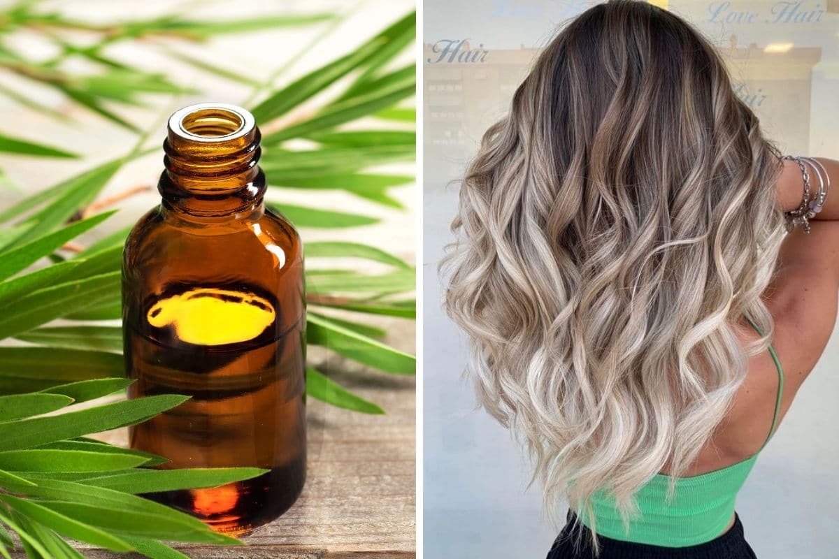 tea-tree-oil-capelli