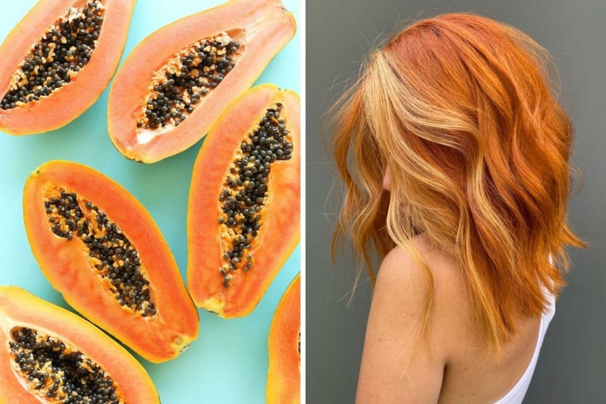 papaya capelli