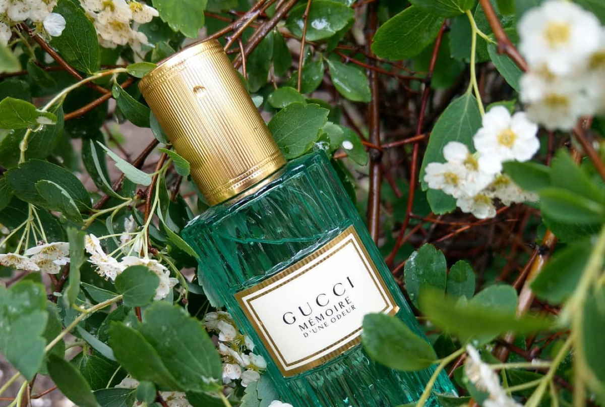 memorire d'une odeur