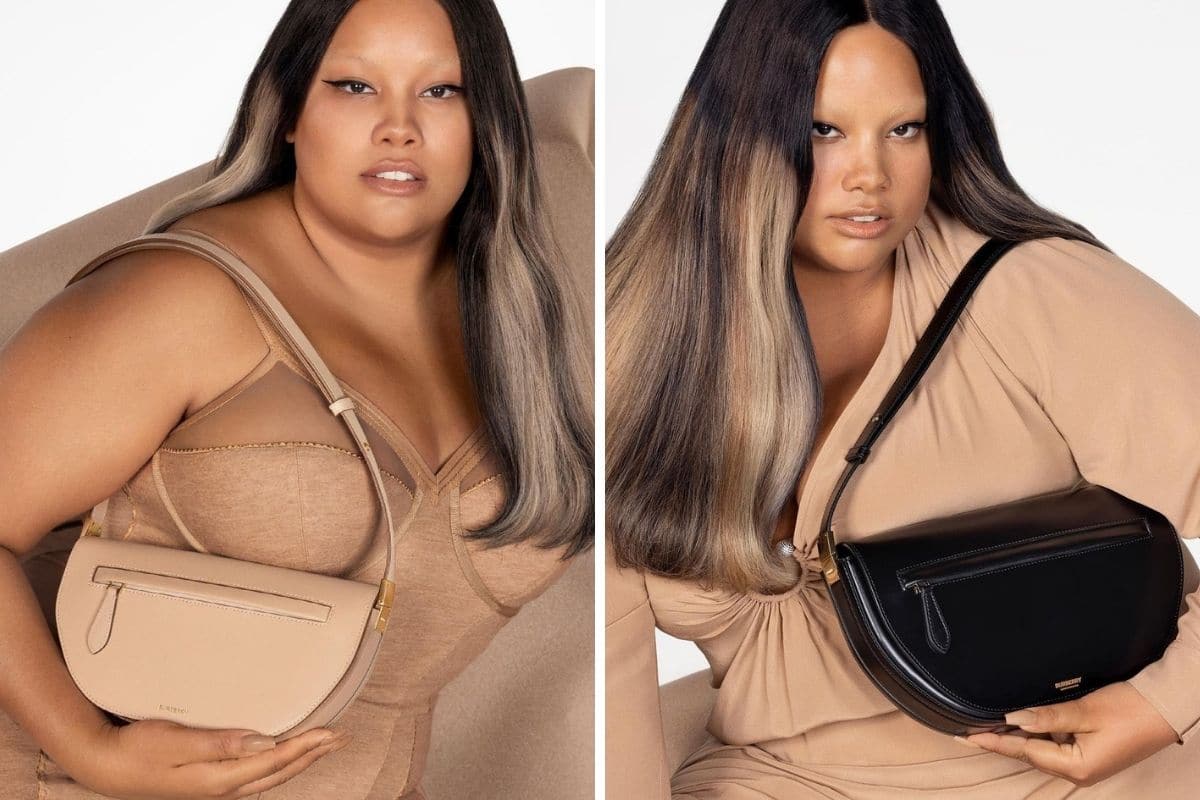 burberry curvy