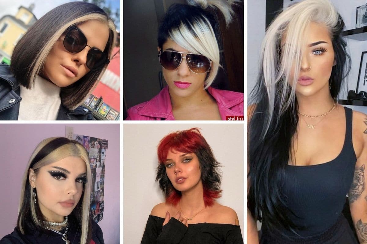 skunk hair capelli bicolore