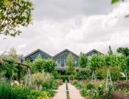 Davines Group in armonia con l'ambiente: nominata B Corp™ Best for the World™ 2022