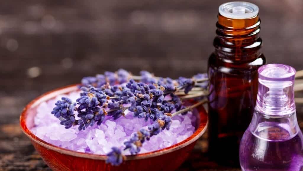 Olio essenziale di lavanda: per i capelli e non solo