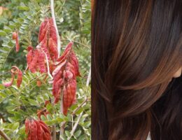 Gomma di tara sui capelli fini: ispessisce e regala corposità alla chioma