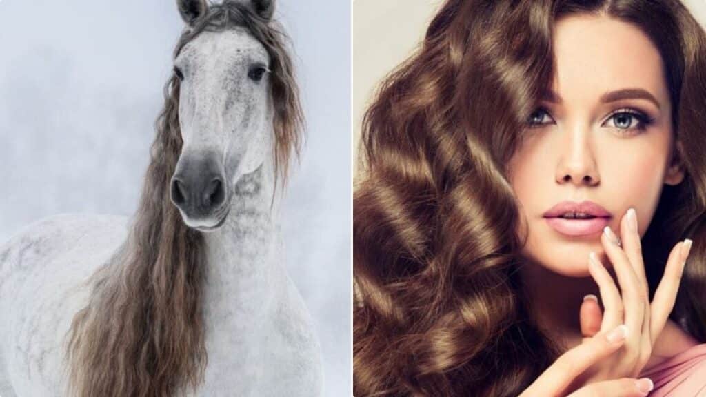 Shampoo per cavalli: l'ultima trovata per capelli super brillanti