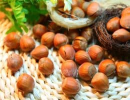 A cosa serve l’olio di nocciole?