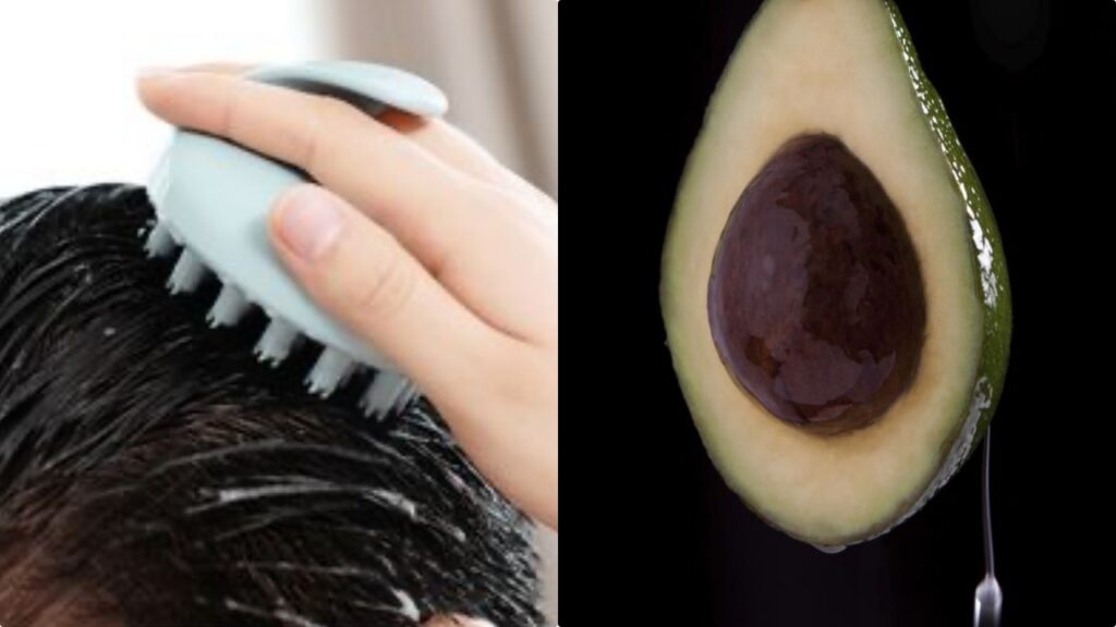 Olio di avocado sui capelli: perché usarlo e soprattutto come