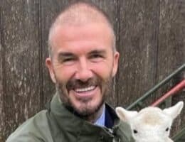 david-beckham irriconoscibile