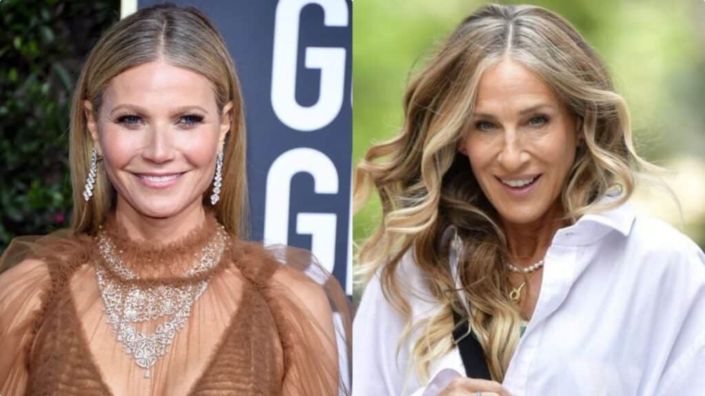 Mèches a spina di pesce: il trend per passare ai capelli grigi con stile