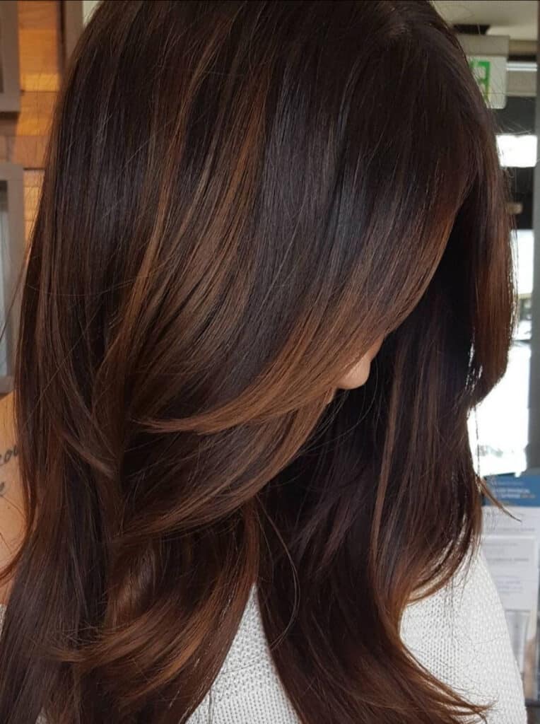 castano scuro con riflessi caldi